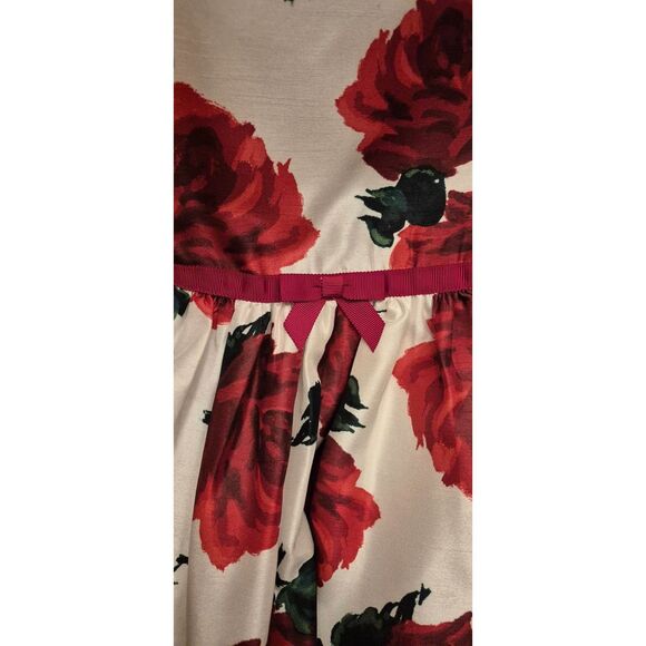 Gymboree Sz 8 Dressed Up Line Fully Lined Sateen Roses Crinoline Twirl Skirt EUC - Picture 3 of 4